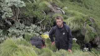 Among the tree daisies – a botanist’s tale. Expedition Snares Islands: Science Live @ Te Papa