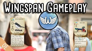 Wingspan Gameplay | Is Willie-Wagtail the new Wood Duck?