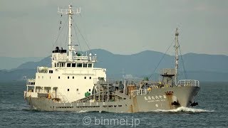 第十六北扇丸 - セメント運搬船 HOKUSEN MARU No.16 - Cement carrier