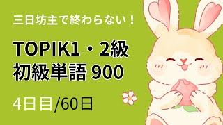 【朝6時投稿】1日15語ずつ覚えるTOPIK1・2級の初級単語900～4日目～