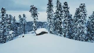 Catskiing in Bakhmaro - Georgia 🇬🇪