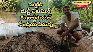 సూక్ష్మజీవుల సేంద్రీయ ఎరువు | Bacterial Compost