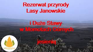 Rezerwat Lasy Janowskie i Duże Stawy [napisy]