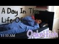 A Day In The Life Of | Oakelfish