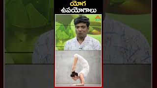 యోగ యొక్క ఉపయోగాలు  | yoga health benefits | PMC Health