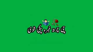 pashto green screen status || نہ دہ مولا خلاف یم نہ دا طالیبانو خلاف || pashto green screen status
