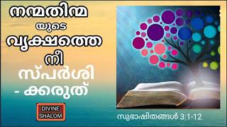 ഞാൻ പ്രാർത്ഥിച്ച് മടുത്തുവെന്ന് പറയരുത്, സുഭാഷിതങ്ങൾ 3:1-12, പഠനം, ഫാ. ജോൺ എഫ്. ചെറിയവെളി, വി.സി.