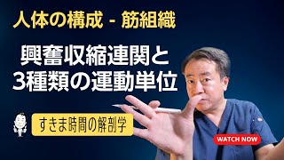 興奮収縮連関と3種類の運動単位【 #かずひろ先生 #解剖学 】