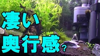 アクアリウム新参者が水槽立ち上げ！part7【謎の侵入貝と簡易バックスクリーン】