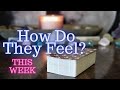 ALL SIGNS Their FEELINGS For YOU This WEEK! New & Past Lovers!!