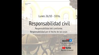 Responsabilidades especiales: del comitente y por intervención de cosas