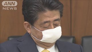 総理「責任は私にある」　黒川氏に退職金で野党批判(20/05/22)