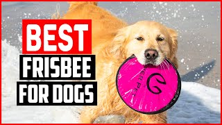 ✅Top 5 Best Frisbee for Dogs in 2022