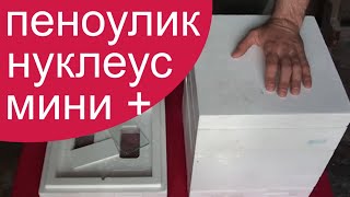 Нуклеусы ПЕНОУЛИК мини плюс порадовали. Пчеловодство вывод маток