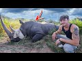 Saving Rhinos From Poachers in South Africa - Rescue Mission!