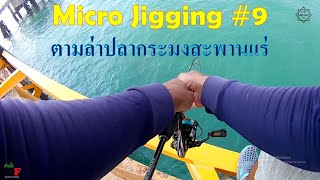 Micro Jigging #9 ตามล่าปลากระมงสะพานแร่