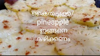 EP 9 : പൈനാപ്പിൾ/ കൈതച്ചക്ക/ ഇങ്ങനെ കഴിക്കണം/pineapple 🍍