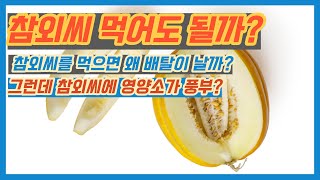 참외씨 먹어도 될까