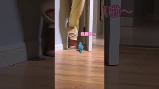 鸟：总要配合他玩些幼稚的游戏#小鸟互动 #搞笑 #pets #birds #parrot #animals #cute #funny #治愈#shorts