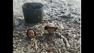 Amazing Cambodia catch net fishing - Net fishing at battambang - Traditional fishing in Khmer # 50