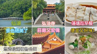 深圳吃喝玩樂 | 悠遊仙湖植物園 | 蓮塘早餐便宜又好味 | 仙湖景色絕美 | 弘法寺莊嚴又宏偉 | EP074