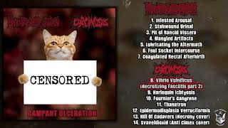 Mutated Sex Organ / Carcinosis - Rampant Ulceration split CD FULL ALBUM (2024 - Goregrind)