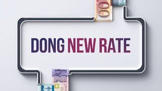 Vietnam Dong Exchange Rate / vietnam currency exchange