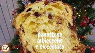 Panettone apricots and chocolate - Natural leavening