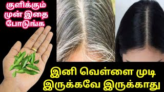 வெள்ளை முடி கருப்பாக மாற அசுர வேகத்தில் முடி வளர குளிக்கும் முன் இத போடுங்க|kitchen tips tamil #tips