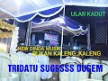 NEW DINDA MUSIK LIVE TRIDATU MANTULL ARR BATIN SURYA DJ CIBEDA BJ PIKO AR JUNAI