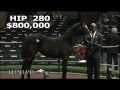 2012 November Breeding Stock Sale - Hip 280