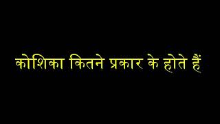 कोशिका कितने प्रकार की होती है