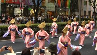 俵屋グループ（2013スーパーよさこい2日目・表参道アベニュー）