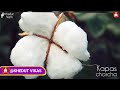 kapas na bhav 15 02 2025 કપાસના ભાવ 2025 information about cotton crop price commodity trend