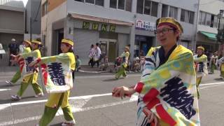 支志團 2016銭形よさこい 駅通 mususukunjp