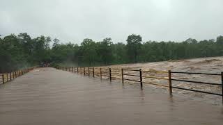 Mayadevi, The Dang... Heavy Rain 5th August2019