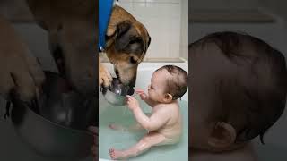 A Dog’s Love: Sharing Water with a Baby 🐾❤️ #AdorableMoments #Shorts