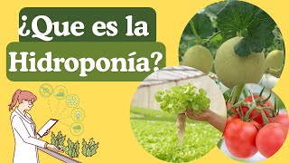 🌱 Hidroponía Vertical: ¿QUÉ ES LA HIDROPONÍA y Cómo Empezar? 🌿💧