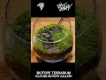 편석으로 쉽게 만드는 이끼 테라리움 easy to make moss terrarium using stones terrarium moss