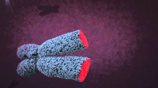 Telomere animation