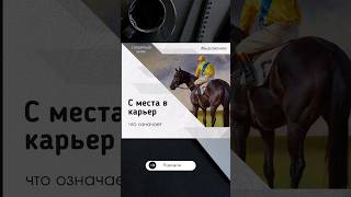 #shorts «С места в карьер» - значение выражения. Словарный запас