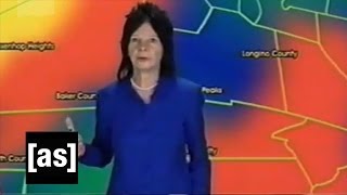 Yesterday's Weather | Check It Out! With Dr. Steve Brule | Adult Swim