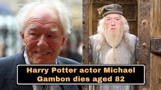 Gambon is best known for his role as Albus Dumbledore in the Harry Potter film series