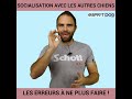 la socialisation chez le chien les erreurs de dressage classique à éviter