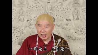 2012淨土大經科註（閩南語配音）313｜淨空老和尚主講