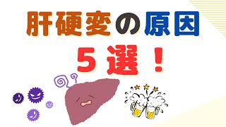 肝硬変の原因５選