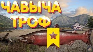 Чавыча ТРОФЕЙ | р. Яма | Русская Рыбалка 4