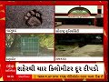 rajkot leopard રાજકોટમાં અત્યાર સુધીમાં ક્યાં ક્યાં દીપડો દેખાયો જુઓ અહેવાલ