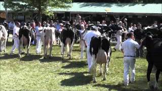 2012 ONTARIO COUNTY HOLSTEIN SHOW - GRAND CHAMPION