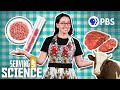 What Does the Future of Lab Grown Meat Look Like? | Serving Up Science